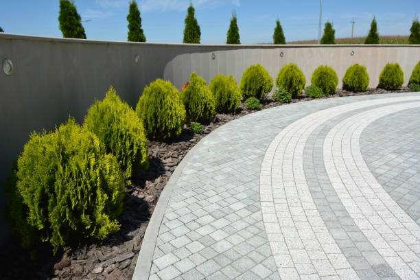 Best Custom Driveway Pavers  in Richlands, VA